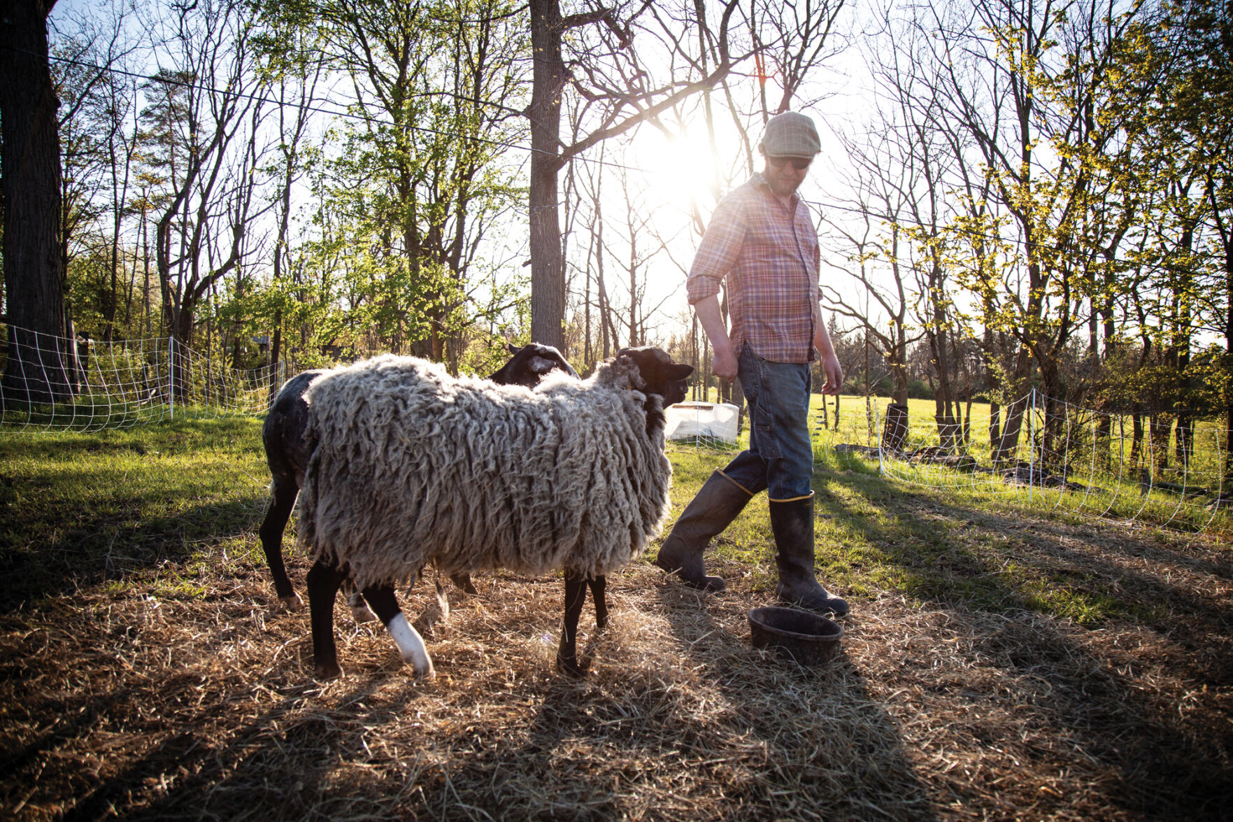 BannerFarm_ericfrick-107.jpg